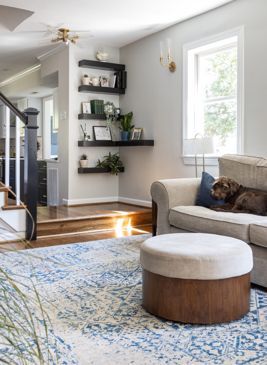 Main-Level Living Space Remodel in Arlington, VA